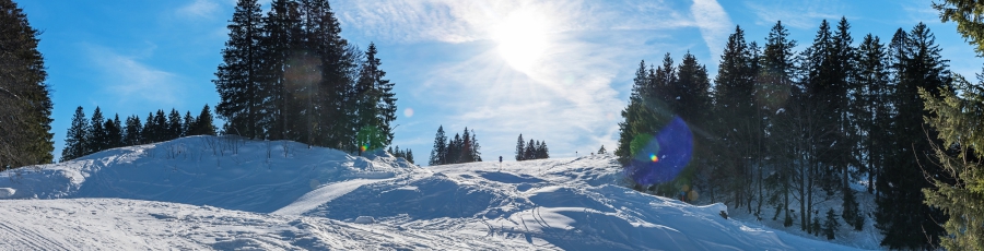 Wintersport Titisee-Neustadt